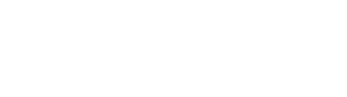femtoAI Logo